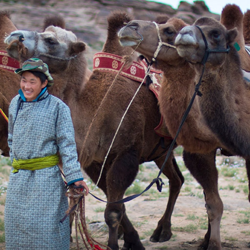 east-gobi-nomad-with-camels