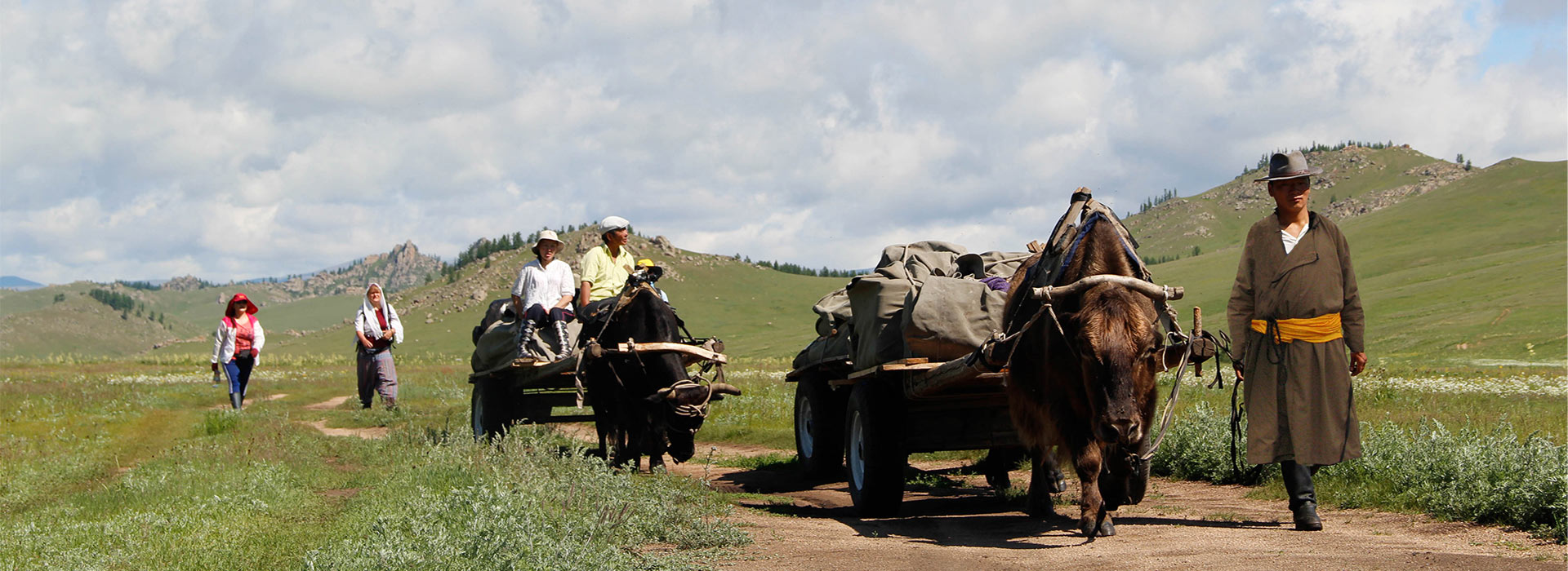 yak-trekking-1