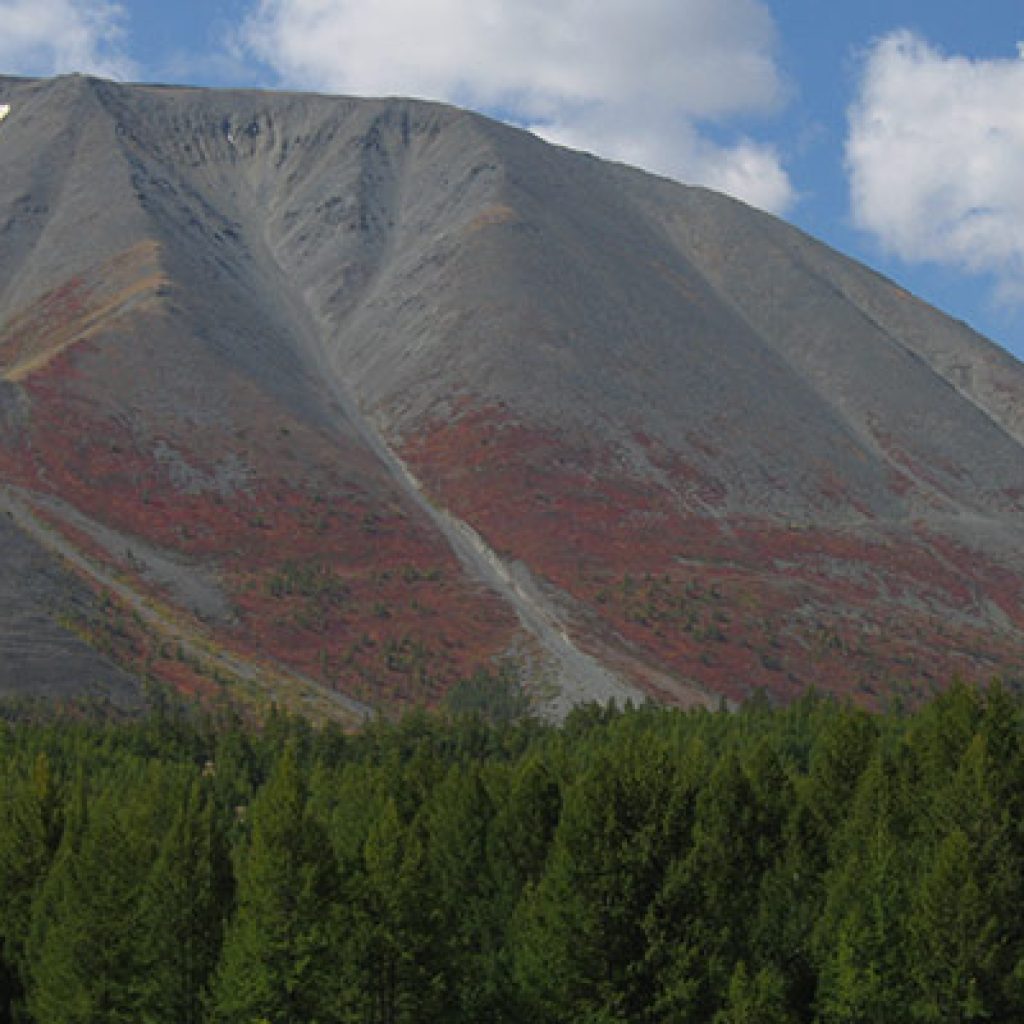 altai-khangai