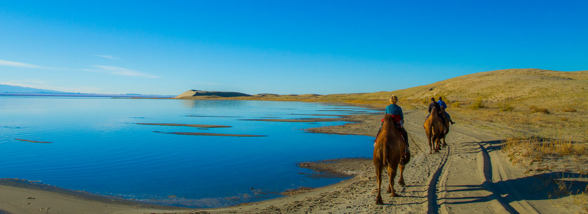 camel-riding-mongolia