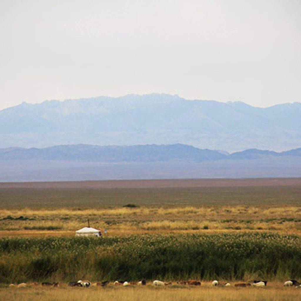 desert-mongolia