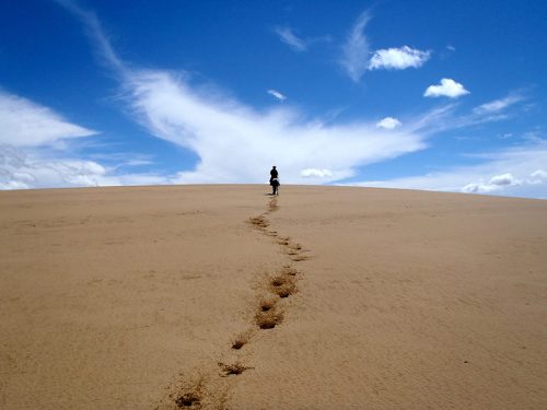 gobi-desert