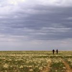 gobi-desert-hike