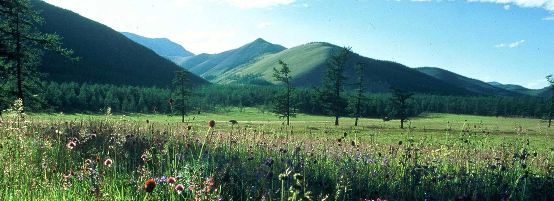 gorkhi-terelj-national-park