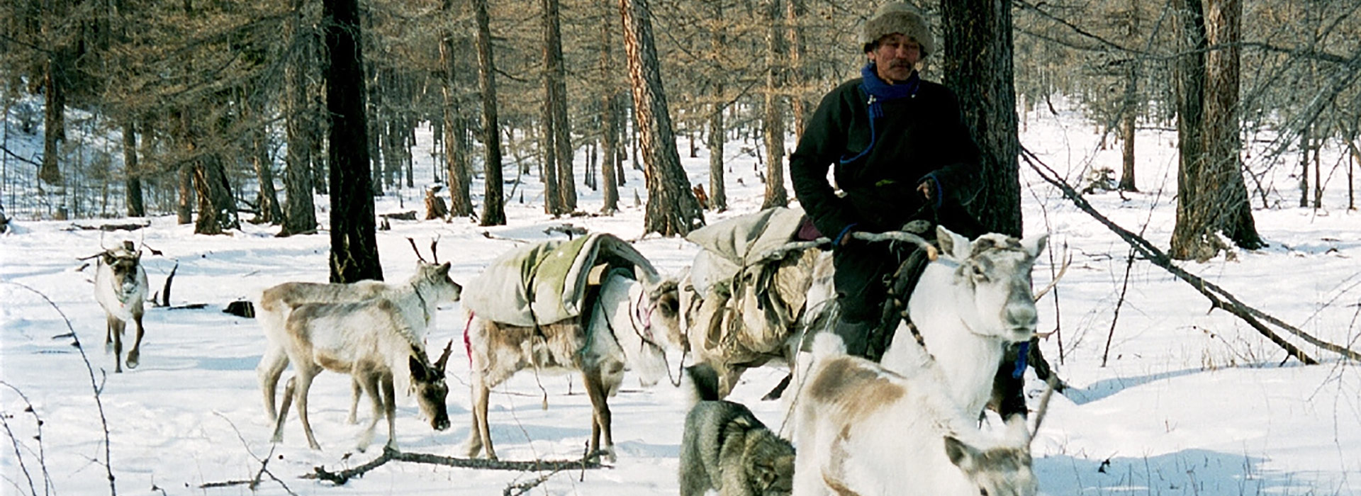 mongolian-reindeer-herders
