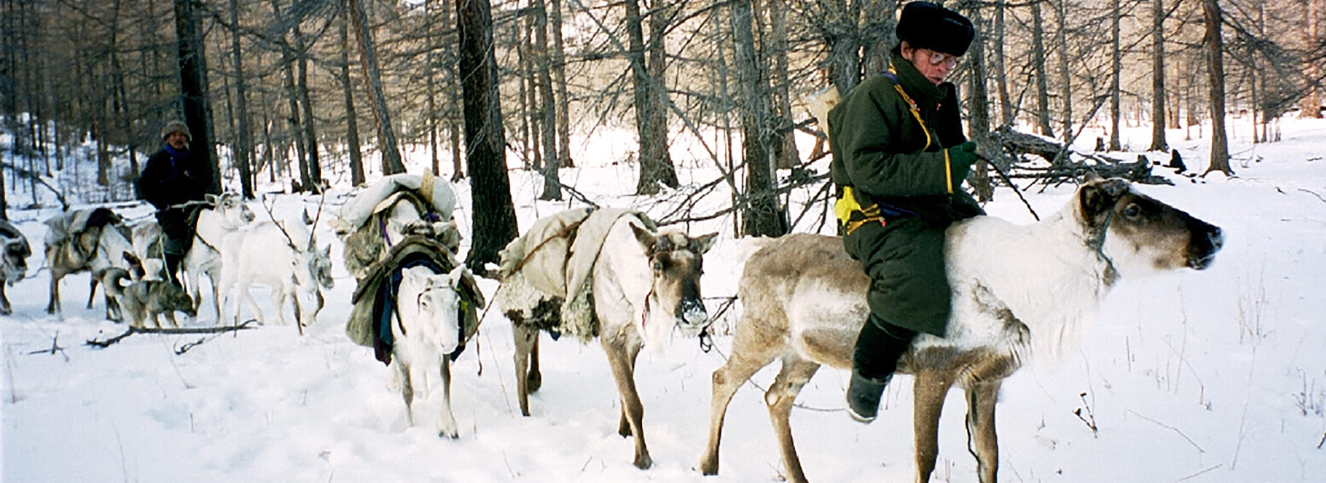reindeer-herders-mongolia