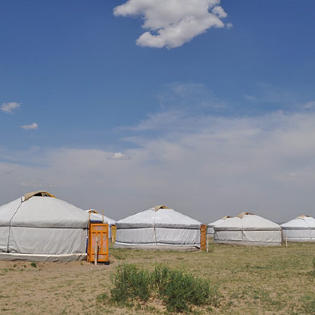 Hustai National Park Wild Mongolian Horse Khustai National Parks