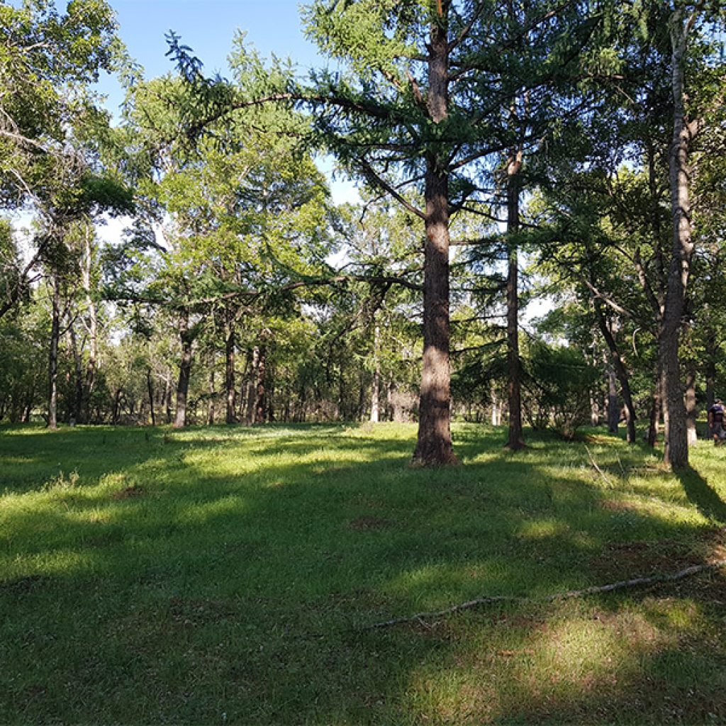 in-the-forest-near-tuul-river