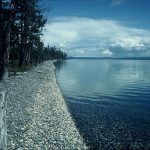 lake-khuvsgul-shoreline