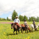 mongol-horse-trails