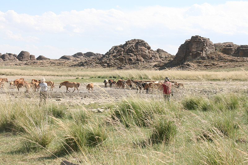 Tour to Mongolian Steppe | Eastern Gobi Desert | Nomadic Journeys