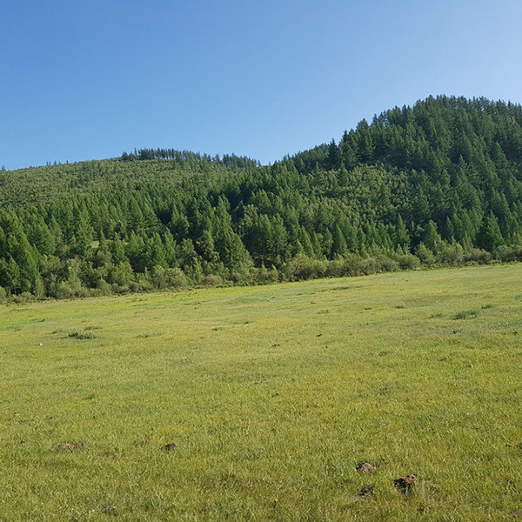mongolia-steppe-mountain