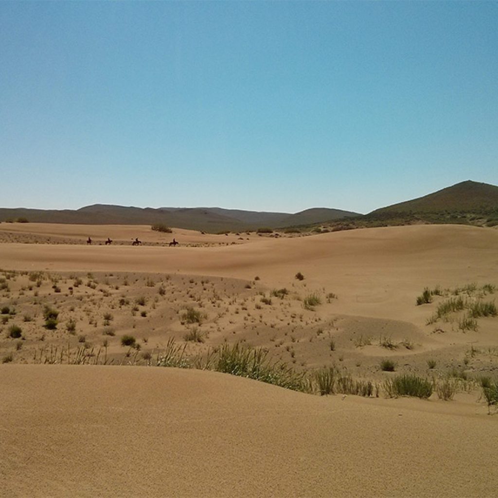 riding-in-the-desert-of-mongolia