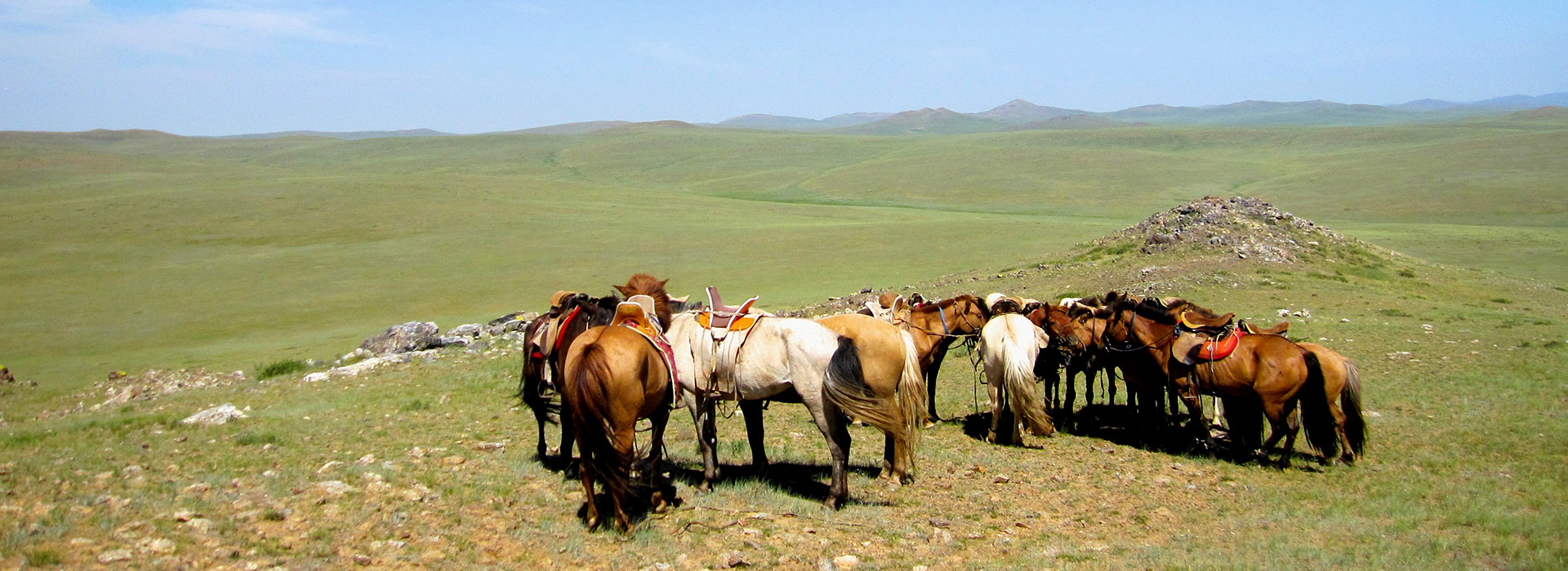 steppe-ride-mongolia-horses-.jpg