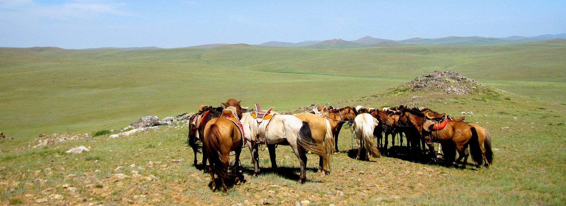 steppe-ride-mongolia-horses-