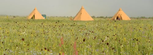 mongolian-grassland-with-tentipi