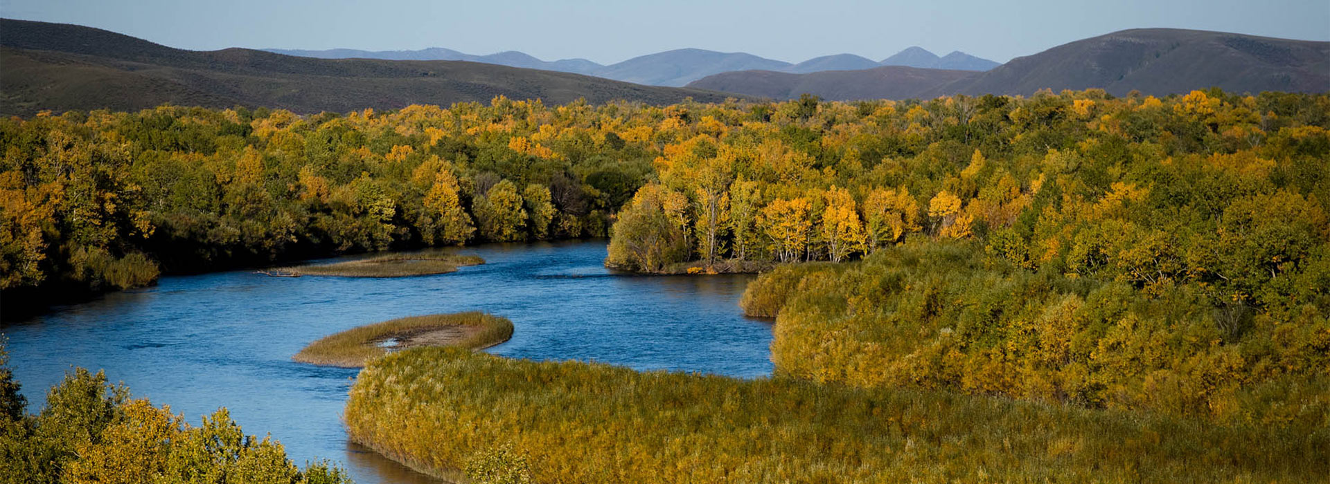 mongolian-river