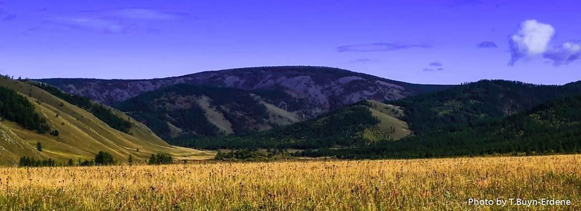 mongolian-steppe