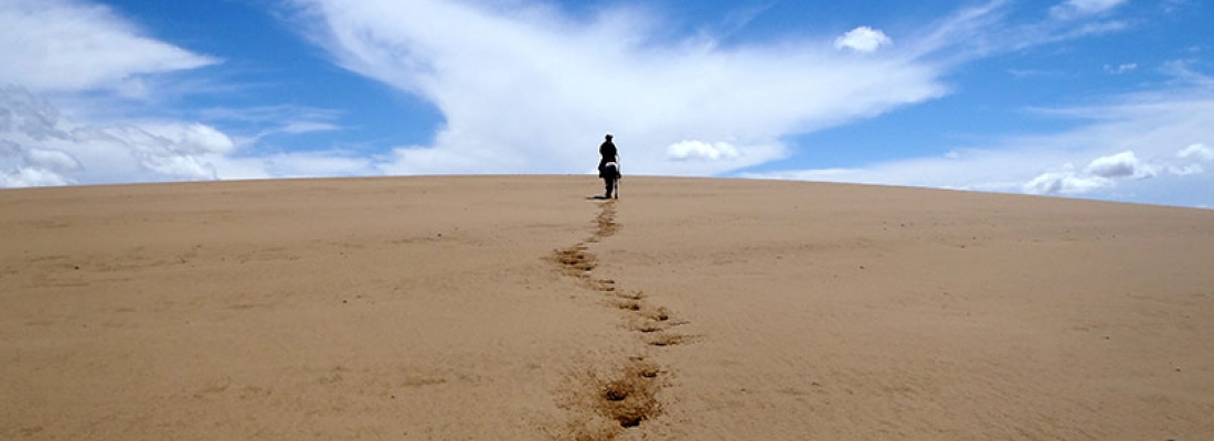 South Gobi