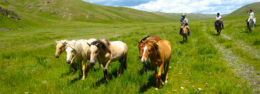 Mongol Horse Trails
